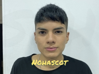nohascot Sexe entre hommes