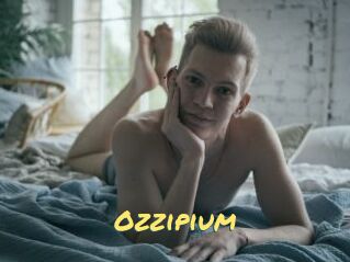 Ozzipium