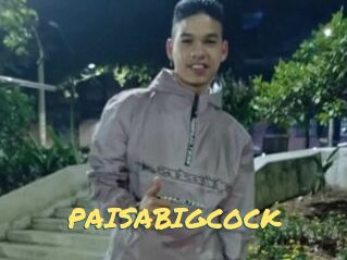 PAISABIGCOCK