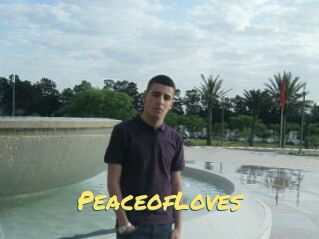 PeaceofLoves