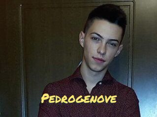 Pedrogenove