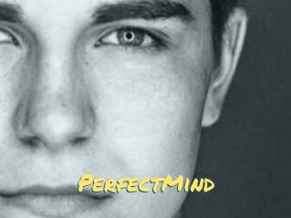 PerfectMind