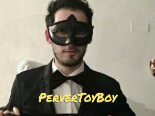 PerverToyBoy