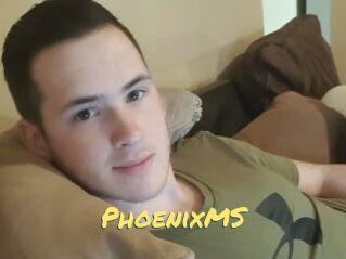 PhoenixMS