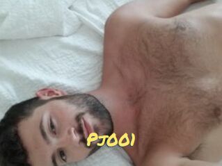 Pj001
