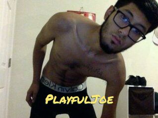 PlayfulJoe