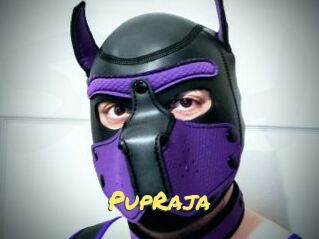 PupRaja