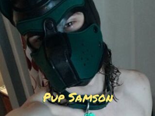 Pup_Samson