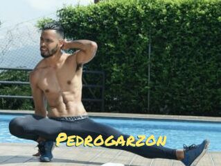 Pedrogarzon