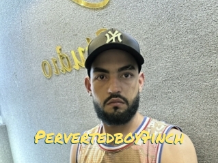 Pervertedboy7inch