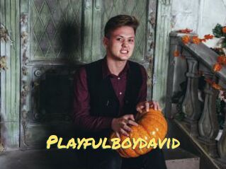 Playfulboydavid