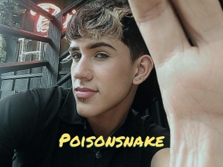 Poisonsnake