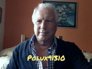 Polux91310