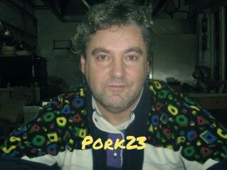 Pork23