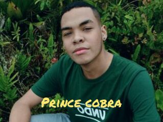 Prince_cobra