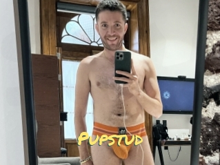 Pupstud