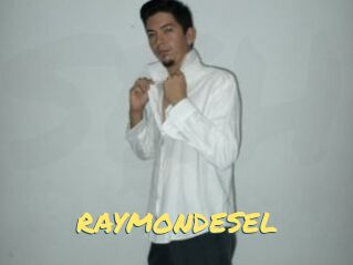 RAYMONDESEL