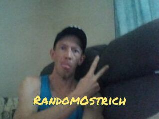 RandomOstrich