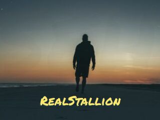 RealStallion