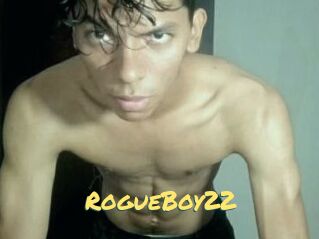 RogueBoy22