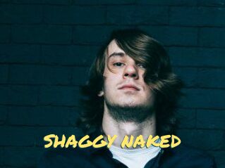 SHAGGY_NAKED