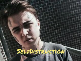 SelfDistruction