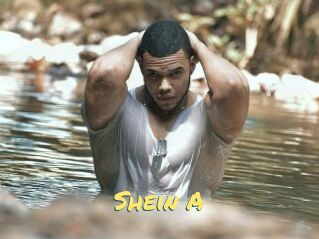 Shein_A