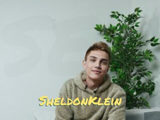 SheldonKlein