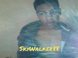 SkyWalker88