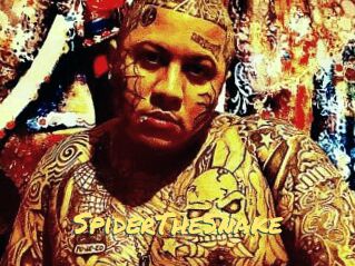 SpiderTheSnake