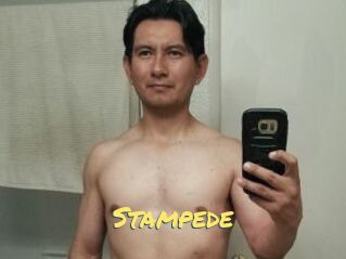 Stampede