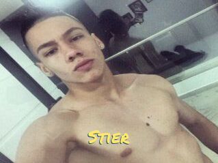 Stier