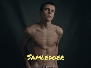 Samledger