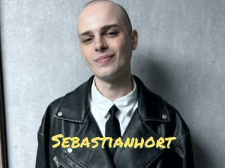 sebastianhort Sexe entre hommes