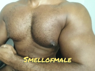 Smellofmale