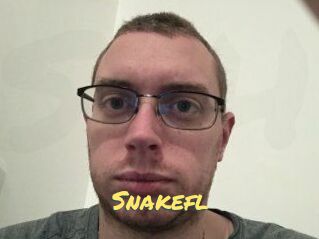 Snakefl