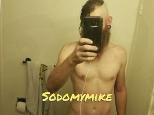 Sodomymike
