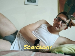 Sonicegay