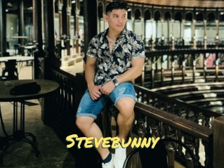 Stevebunny