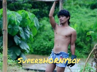 SuperbHORNYboy
