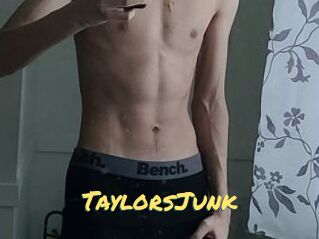 TaylorsJunk