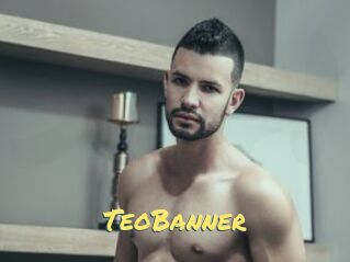 TeoBanner
