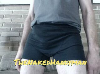 TheNakedHandyman