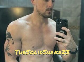 TheSolidSnake23