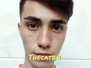 Thecatboy