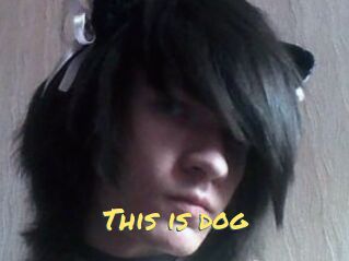 This_is_dog