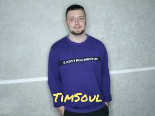 TimSoul