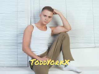 ToddYorkX