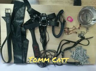 Tomm_Catt