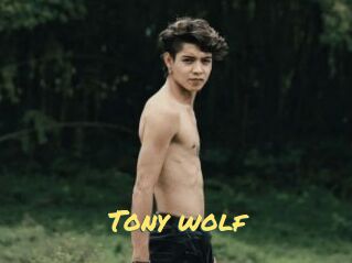 Tony_wolf